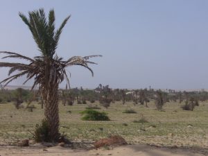 Paesaggi di Boavista