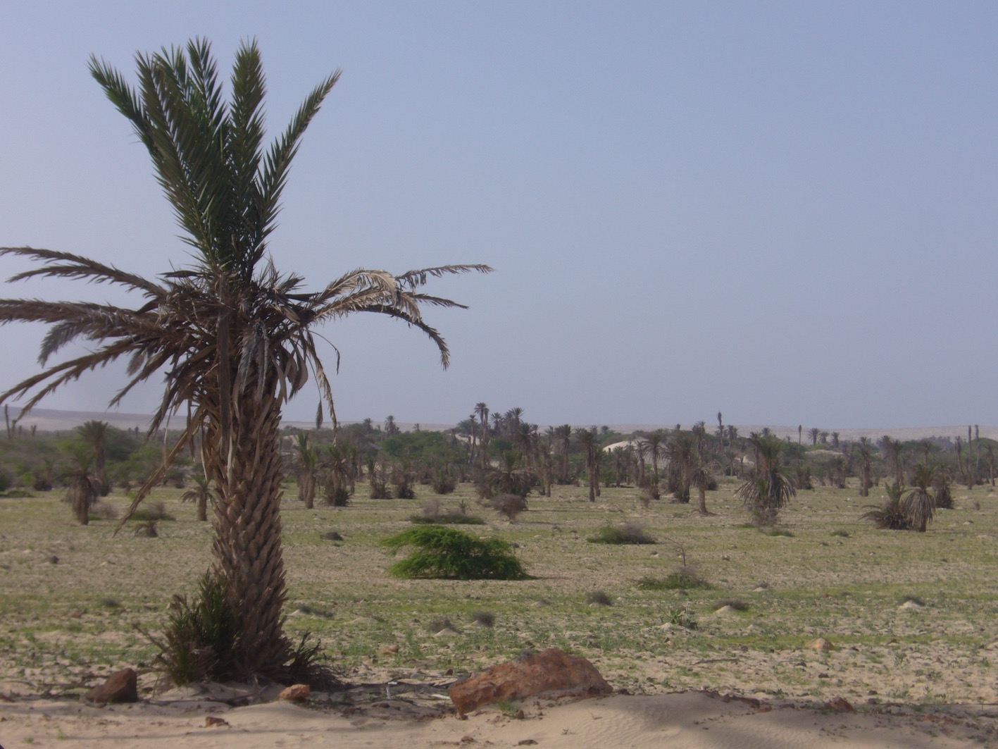 Paesaggi di Boavista